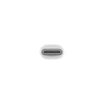 Apple Thunderbolt 3 (USB-C) to Thunderbolt 2 Adapter  – White (MMEL2)